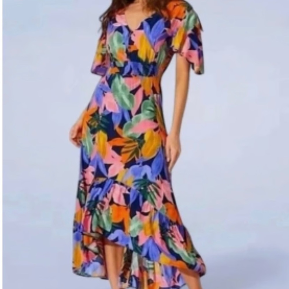 Abel the‎ Label Anthropologie Botanical Floral Multicolor Maxi Ruffle Hem Dress